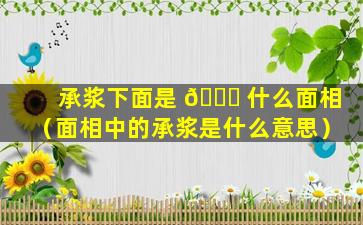 承浆下面是 🐟 什么面相（面相中的承浆是什么意思）